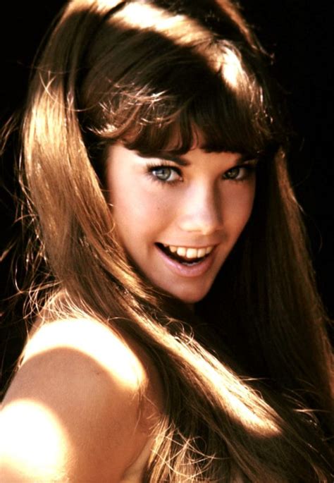 barbi benton hot|Barbi Benton 